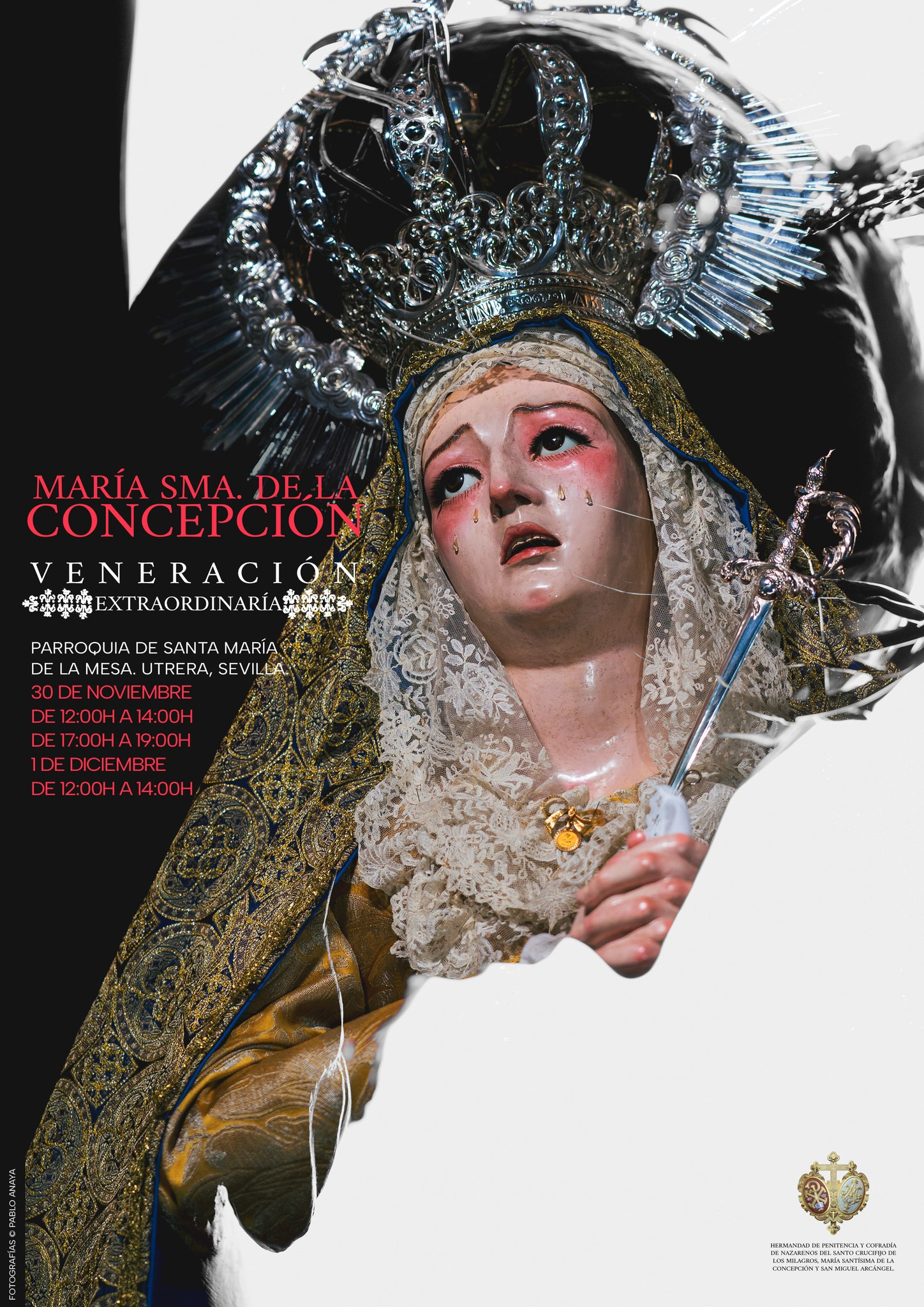 veneracion concepcion 2024